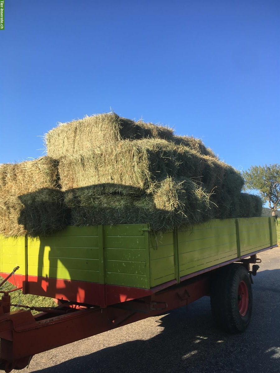 Emd Kleinballen, Saison 2025, ab Hof