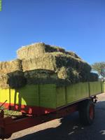 Emd Kleinballen, Saison 2025, ab Hof