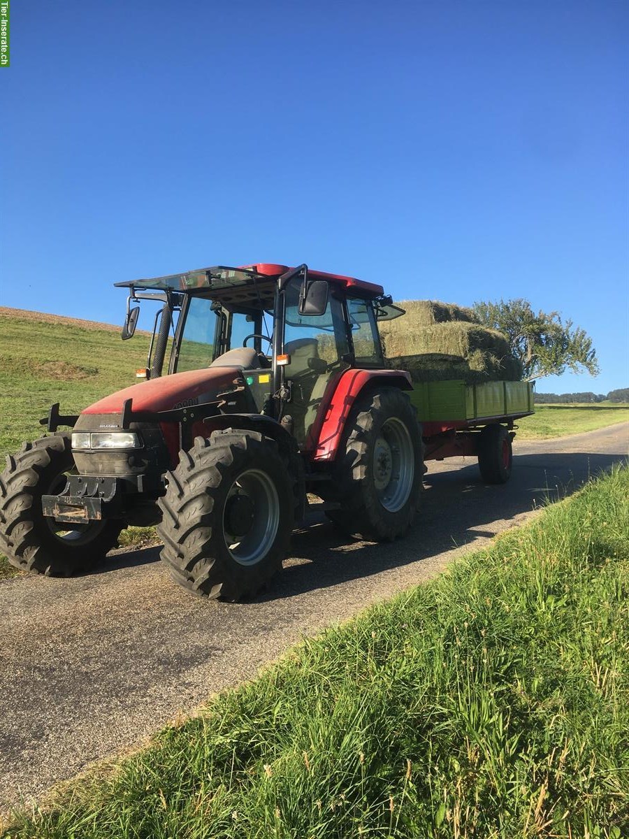 Bild 2: Emd Kleinballen, Saison 2025, ab Hof