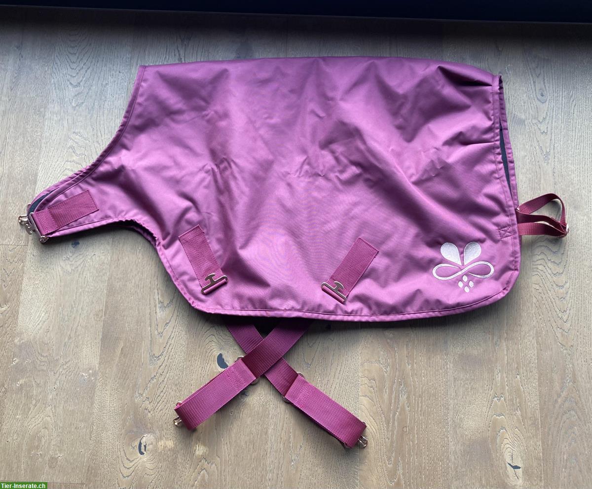 Walkerdecke Mini-Shetty 75cm von CHEVALIOR