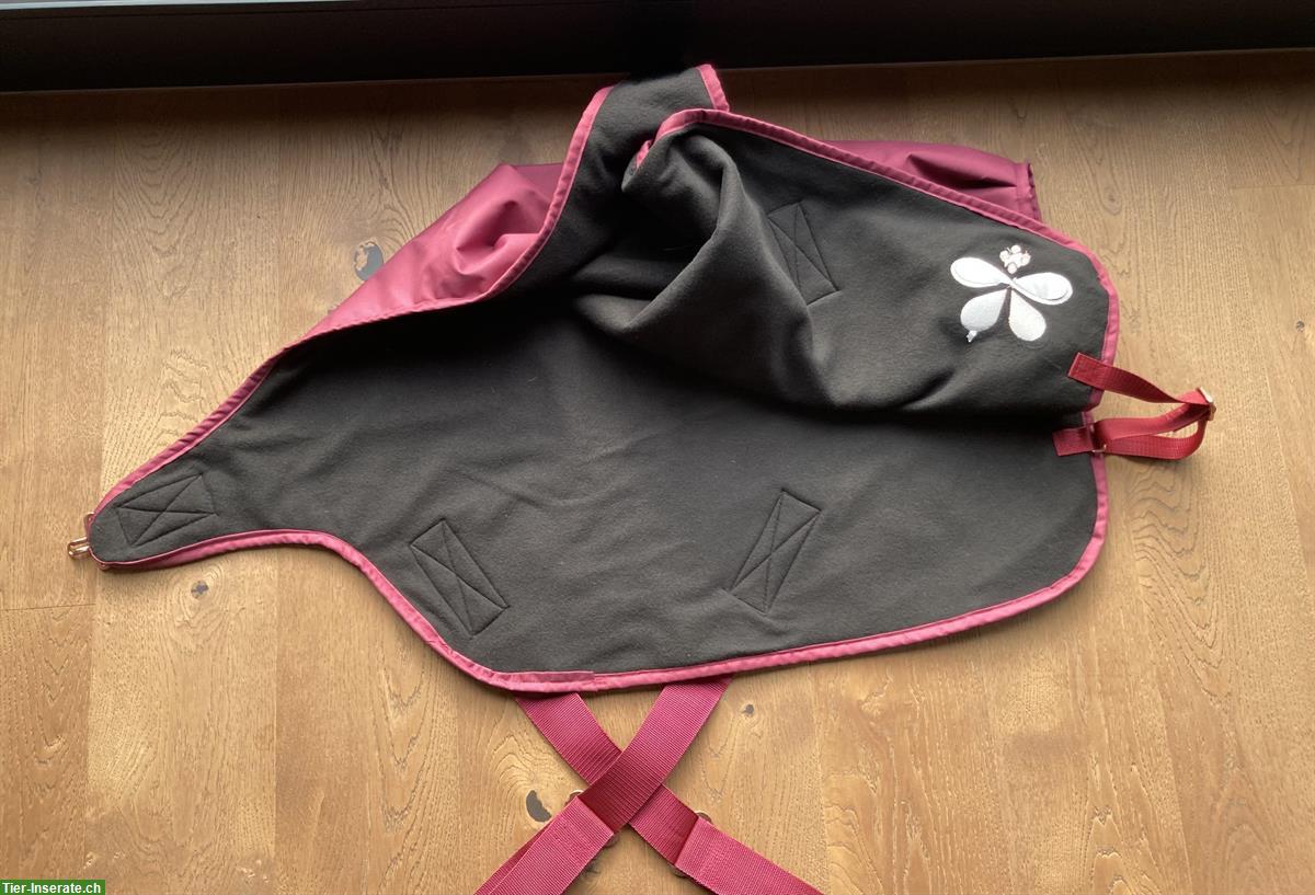 Bild 2: Walkerdecke Mini-Shetty 75cm von CHEVALIOR