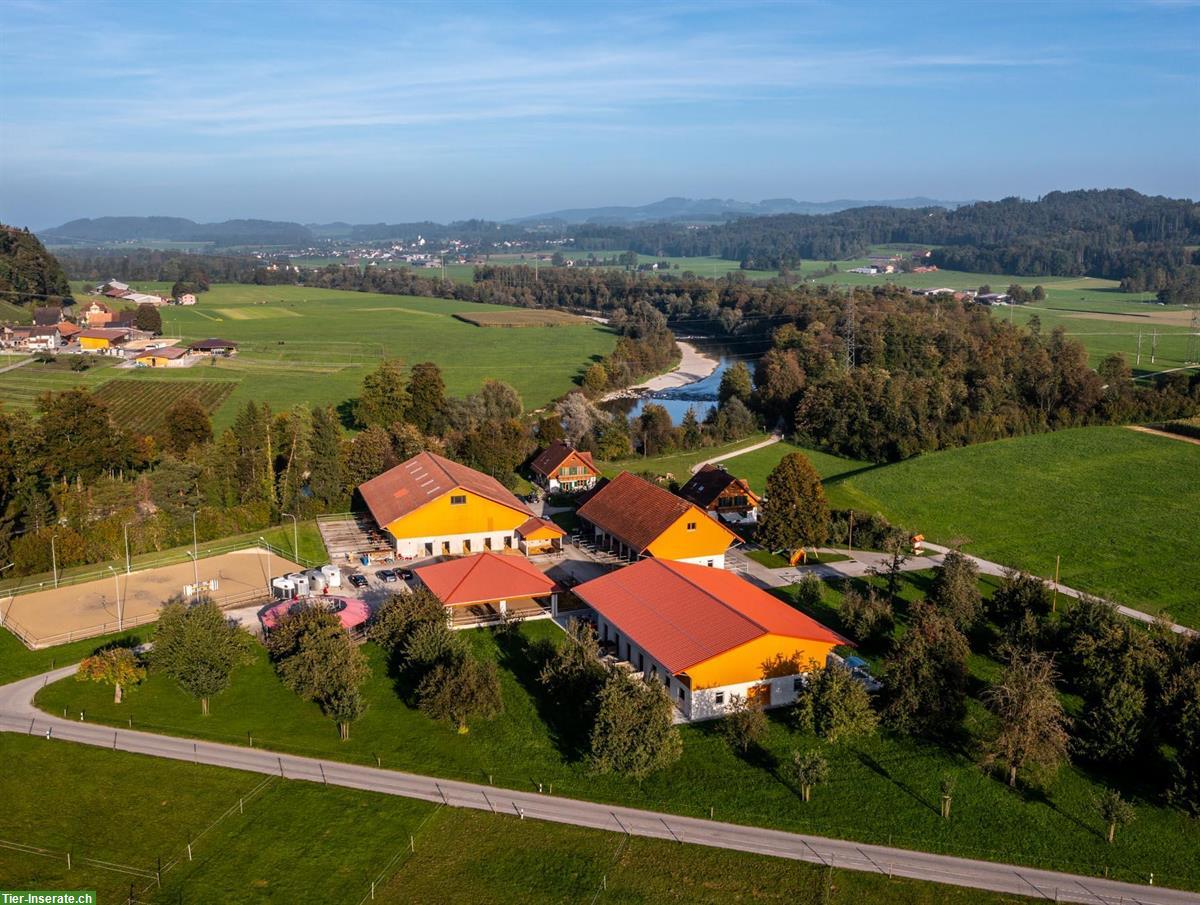 Auslaufboxen in Oberbüren SG zu vermieten