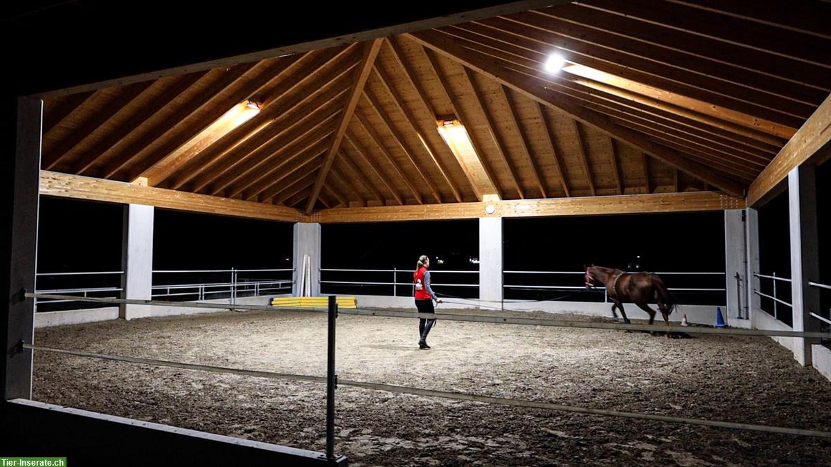 Bild 7: Auslaufboxen in Oberbüren SG zu vermieten