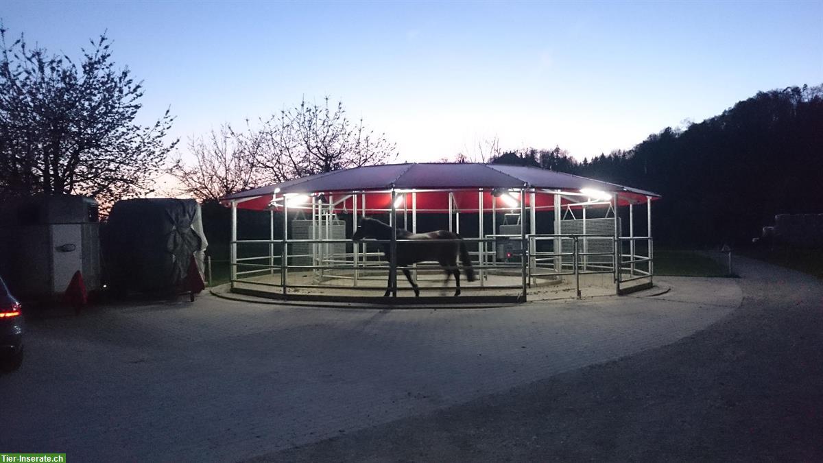 Bild 8: Auslaufboxen in Oberbüren SG zu vermieten