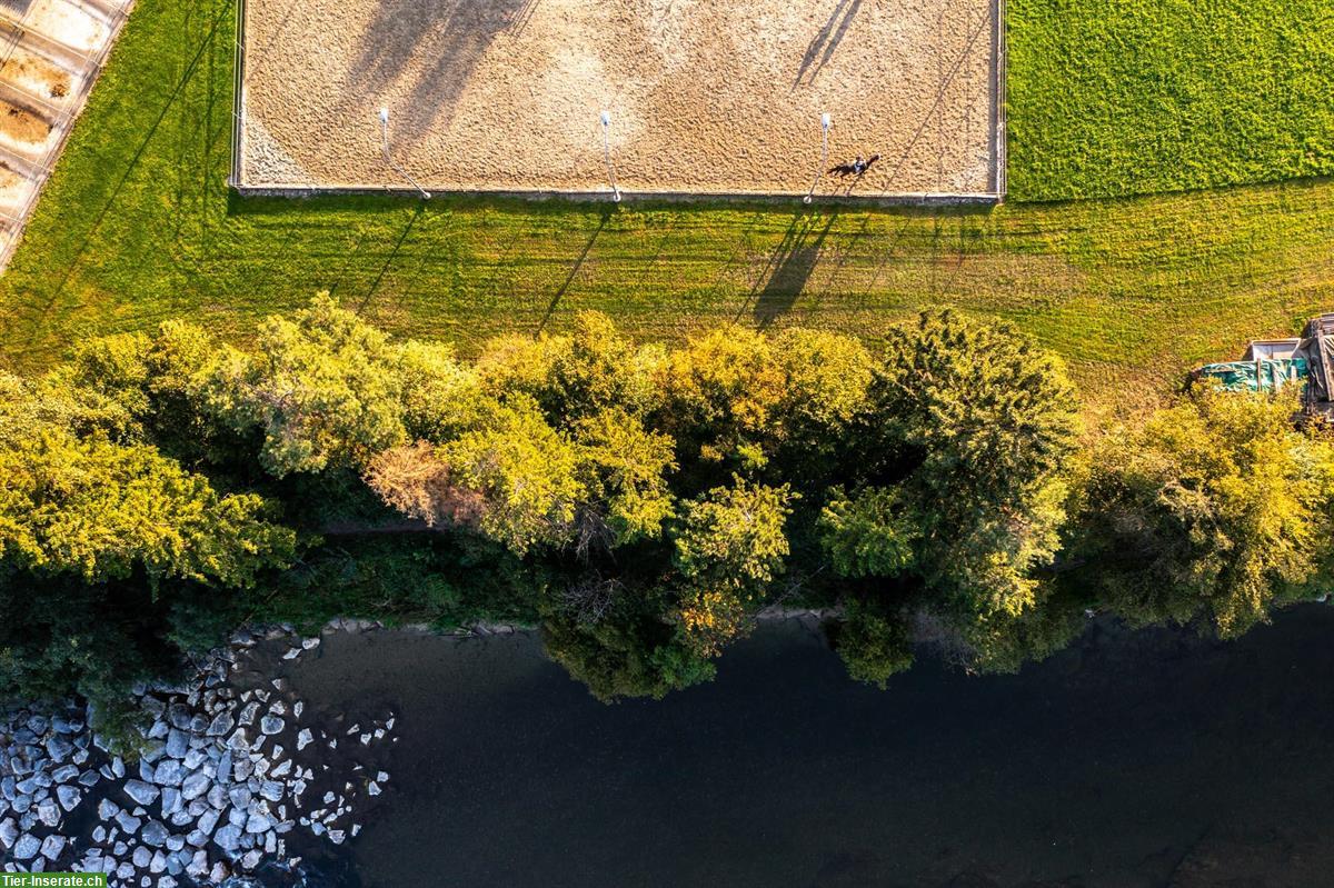 Bild 9: Auslaufboxen in Oberbüren SG zu vermieten
