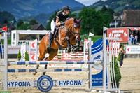 KWPN Zuchtstute mit Top Abstammung und Charakter