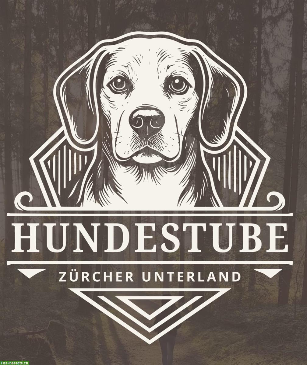 Hundestube Zürcher Unterland | Ganztagesbetreuung Ihrer Lieblinge
