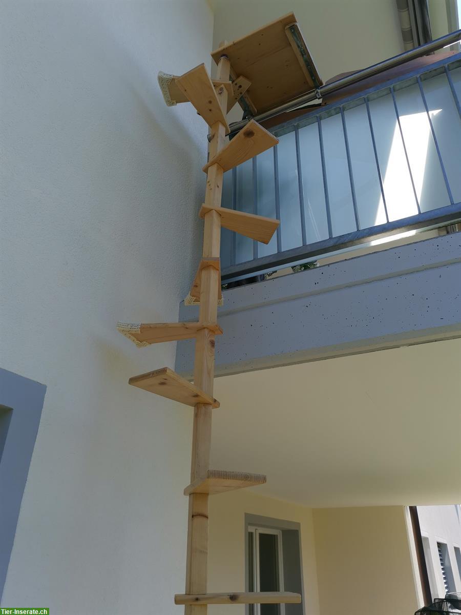 Bild 2: Katzenwendeltreppe aus Massivholz, wie NEU!