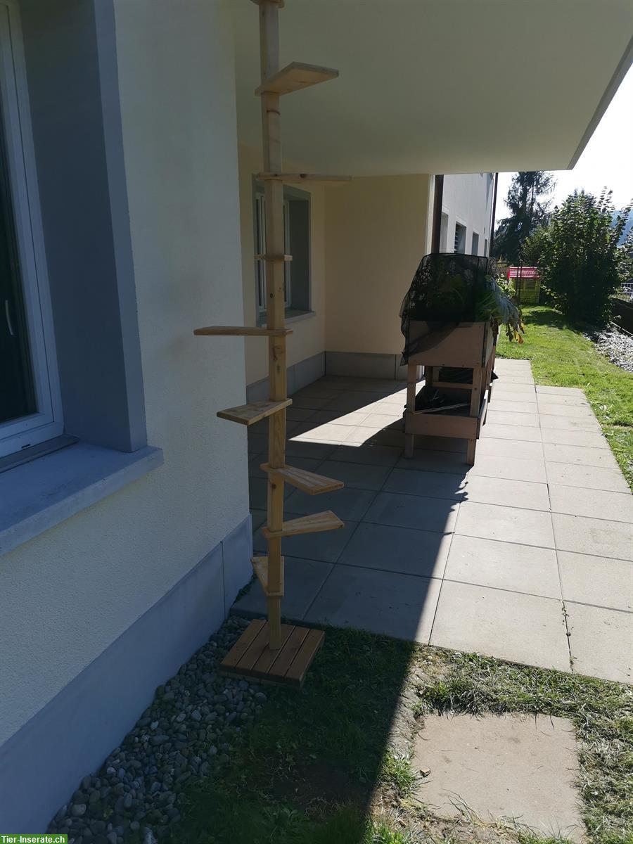 Bild 3: Katzenwendeltreppe aus Massivholz, wie NEU!