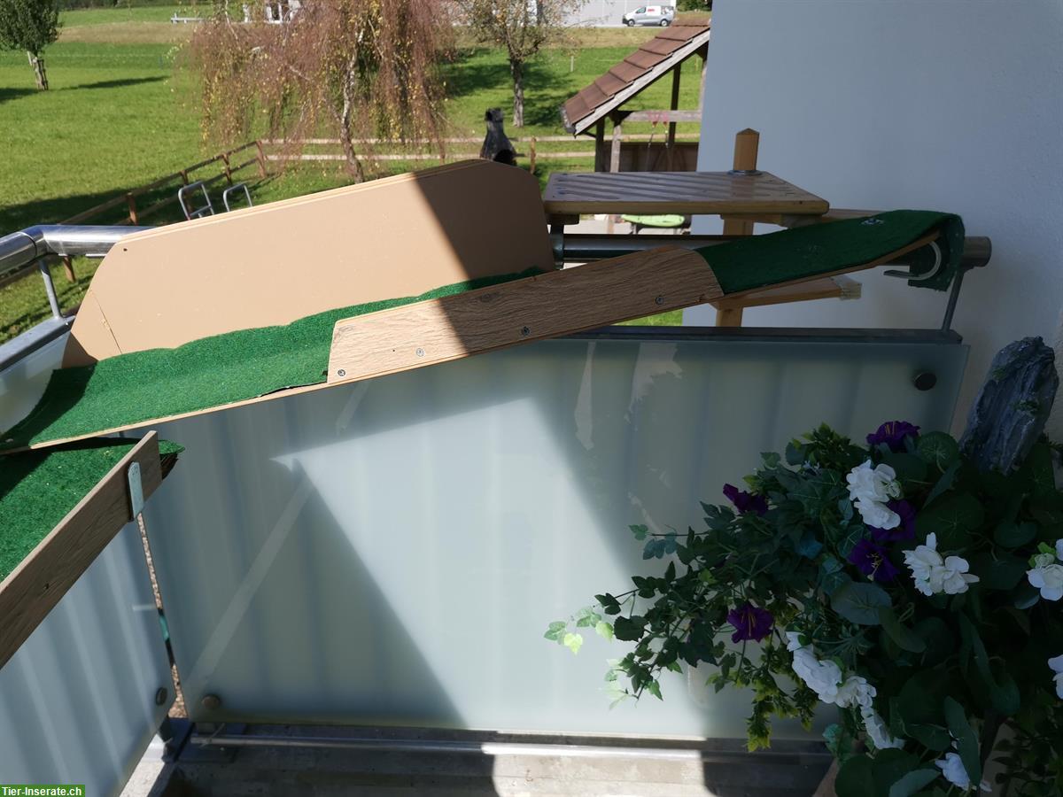 Bild 5: Katzenwendeltreppe aus Massivholz, wie NEU!