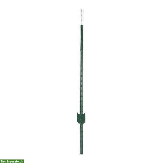 Bild 2: Metall Weidezaunpfosten (T-Pfosten), 11 Stück zu verkaufen