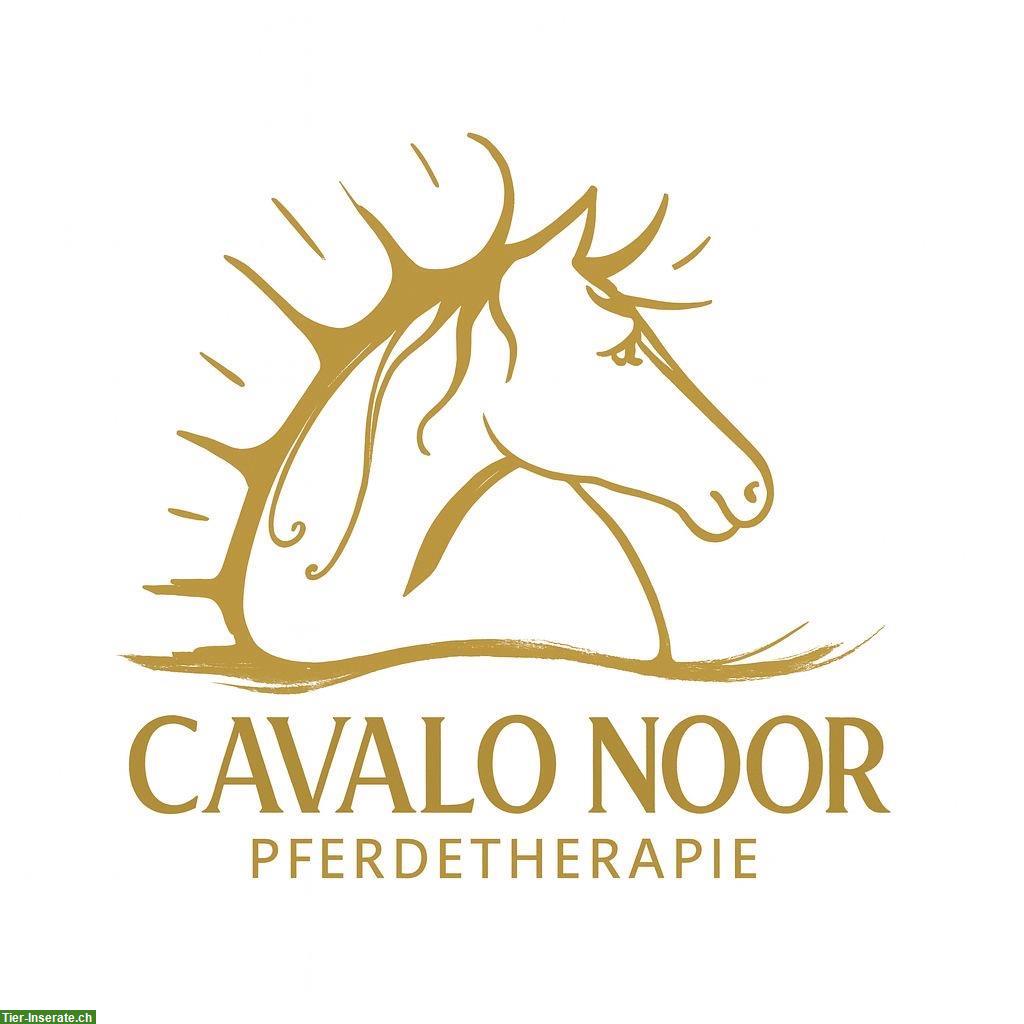 Osteopathische Behandlungen für Pferde