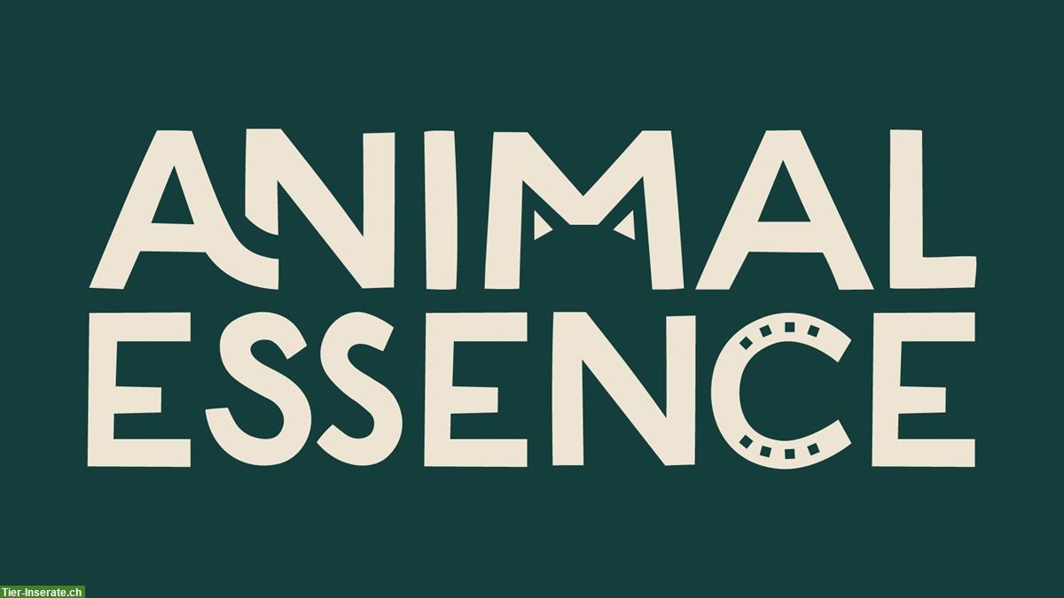 Bild 2: Animal Essence - Tierenergetik & Tierkommunikation | Raum Luzern
