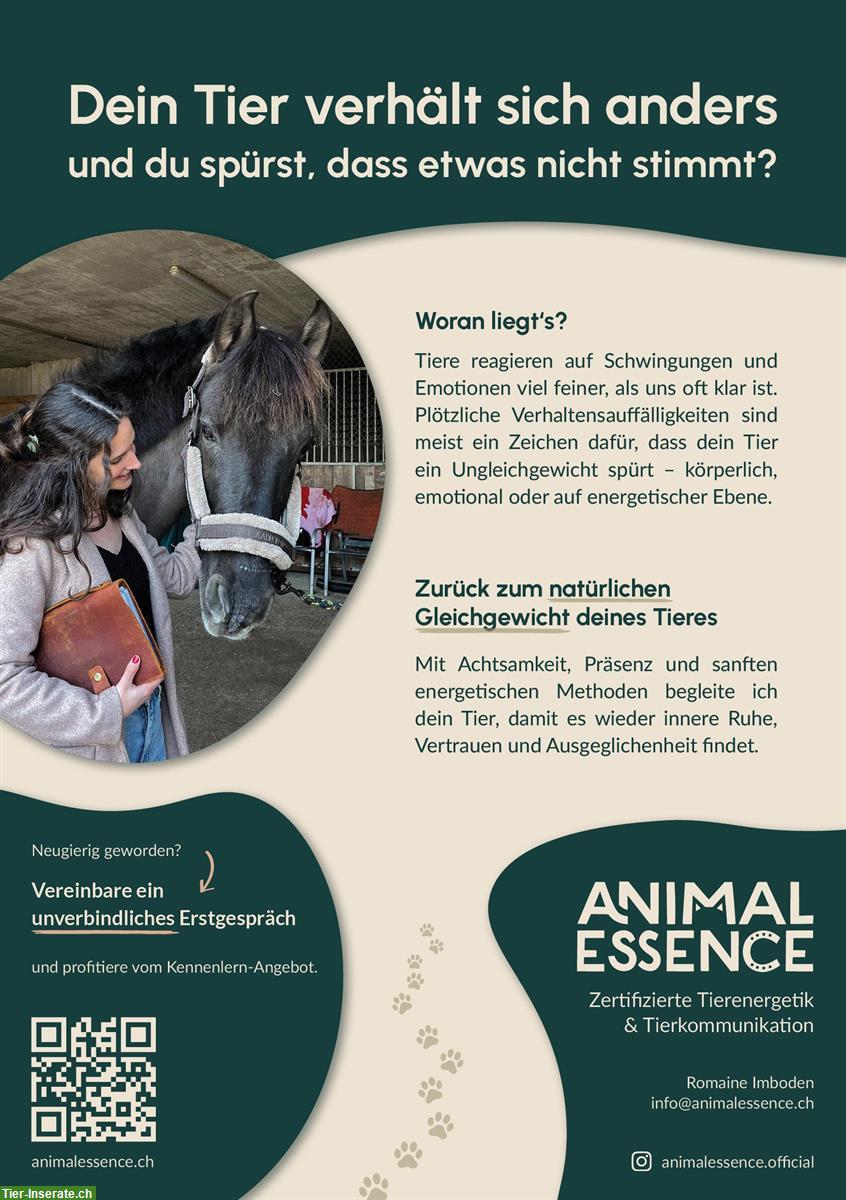 Bild 4: Animal Essence - Tierenergetik & Tierkommunikation | Raum Luzern