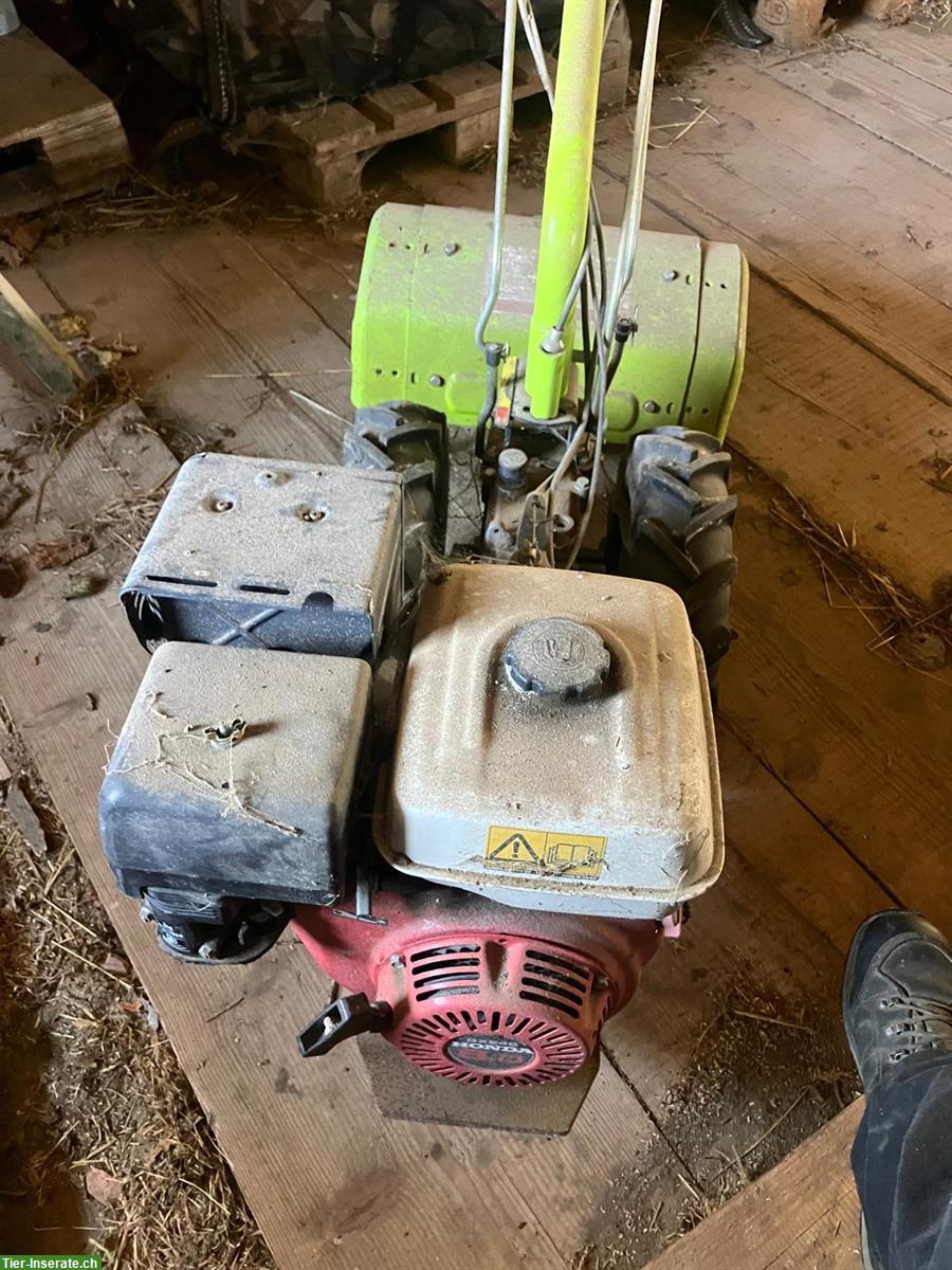 Occasion Motorhacke Grillo 126, Benziner mit Honda Motor