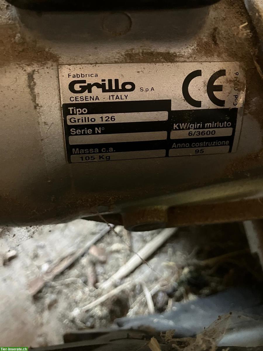 Bild 2: Occasion Motorhacke Grillo 126, Benziner mit Honda Motor