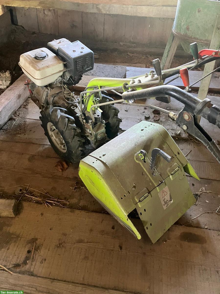 Bild 3: Occasion Motorhacke Grillo 126, Benziner mit Honda Motor