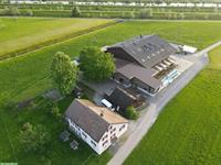 Pensionsstall: Offenstall mit Gruppenhaltung für Isländer, Benken SG