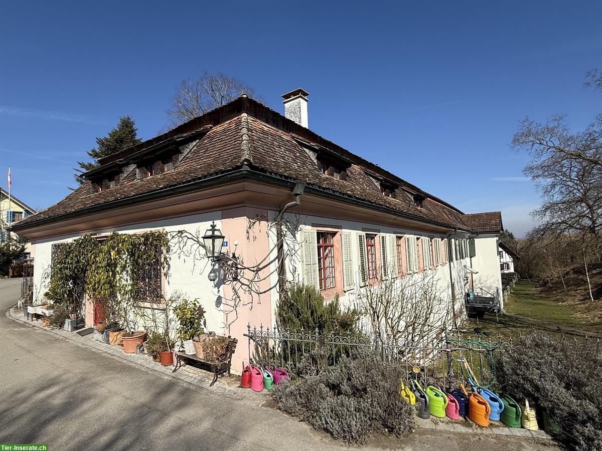 Bild 10: Wohnung auf der Schlossranch für Pferdefreunde