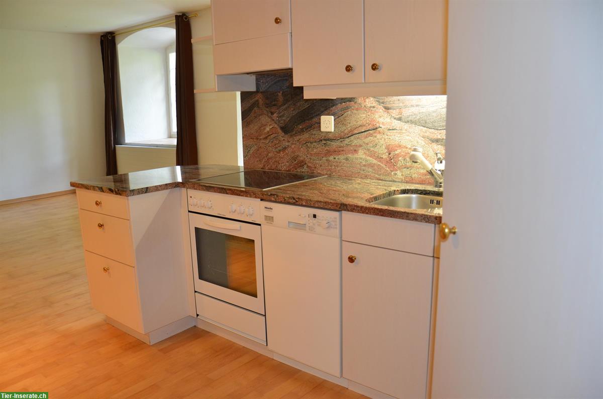 Bild 2: Wohnung auf der Schlossranch für Pferdefreunde