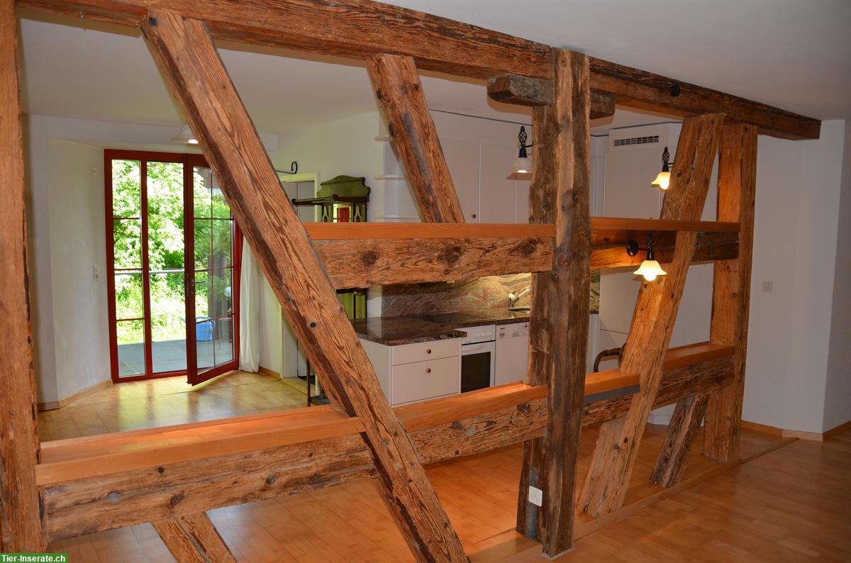 Bild 3: Wohnung auf der Schlossranch für Pferdefreunde