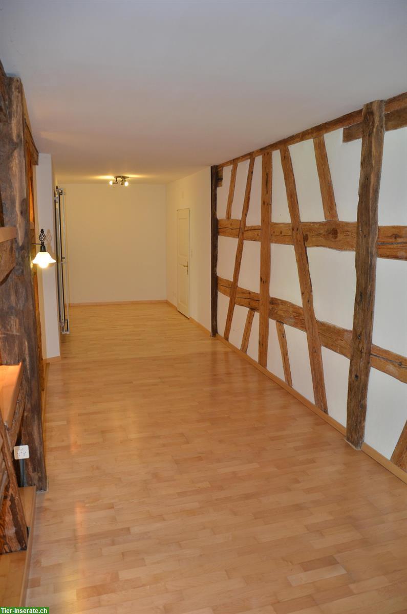 Bild 4: Wohnung auf der Schlossranch für Pferdefreunde