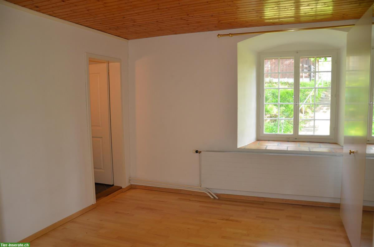 Bild 5: Wohnung auf der Schlossranch für Pferdefreunde