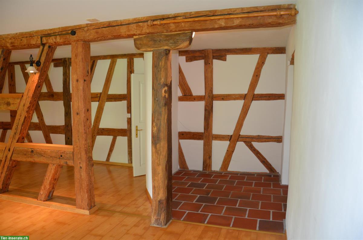 Bild 6: Wohnung auf der Schlossranch für Pferdefreunde