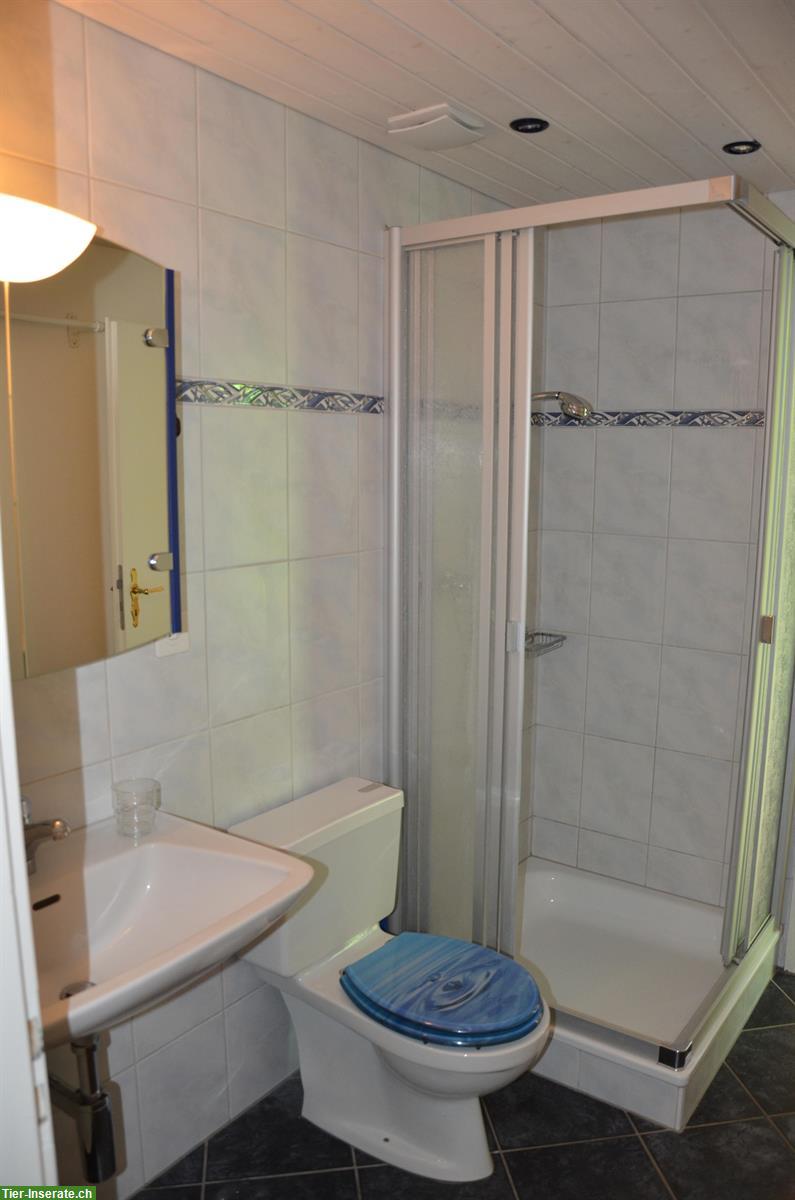 Bild 7: Wohnung auf der Schlossranch für Pferdefreunde