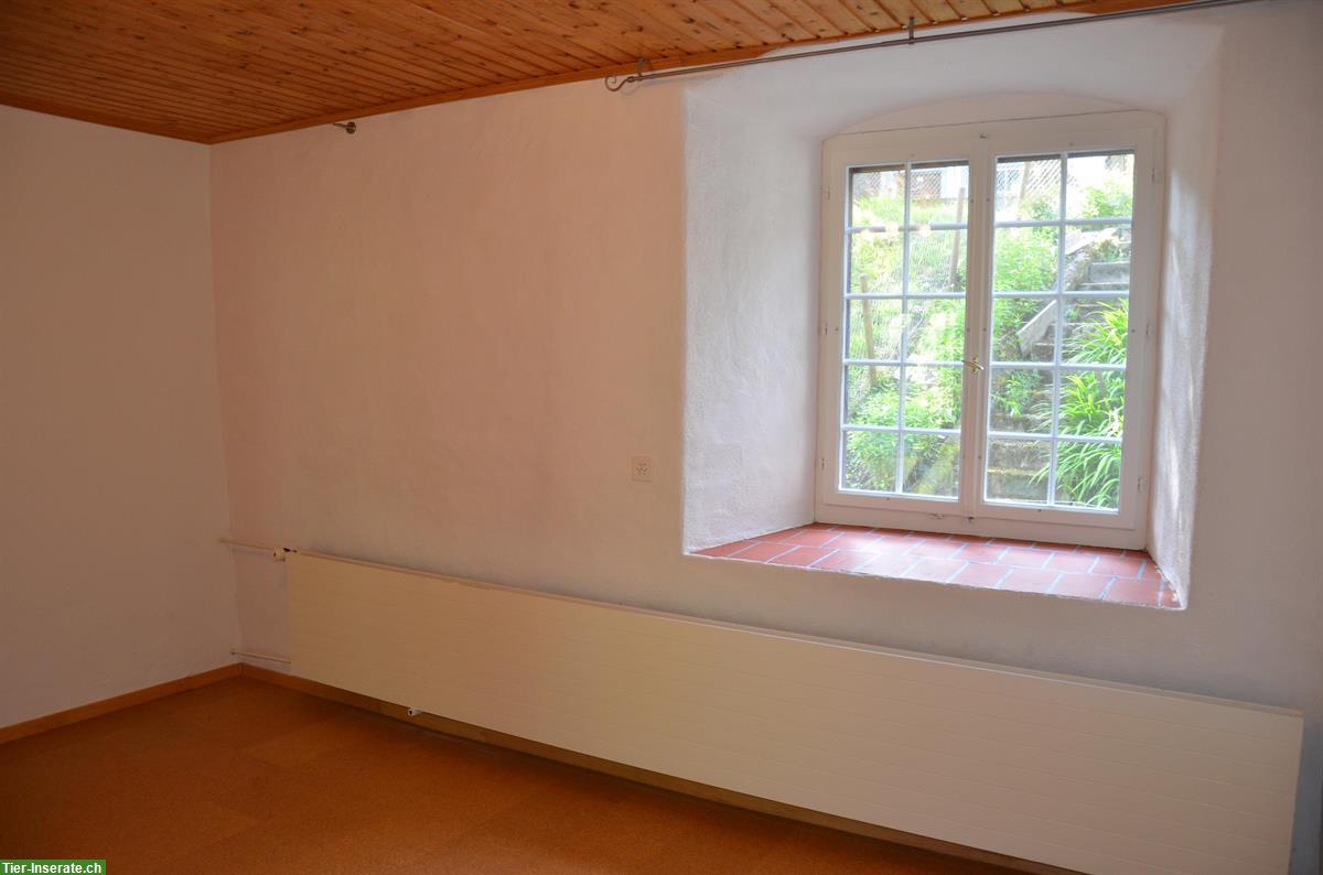 Bild 8: Wohnung auf der Schlossranch für Pferdefreunde