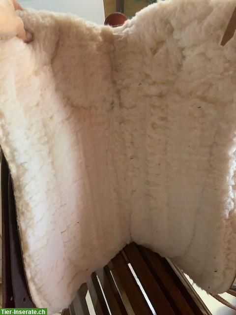 Bild 3: Barefoot Westernsattel Virginia Rose Gr. 2