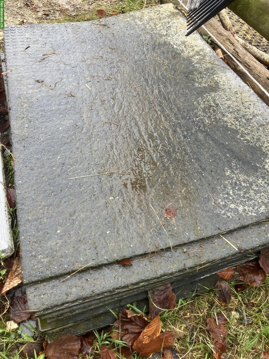 Paddockplatten zu verkaufen
