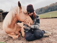 Offenstallplatz für einen jungen Quarter Wallach, BL