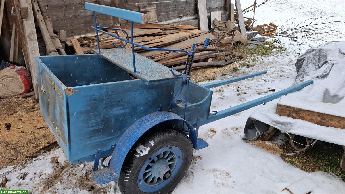 Kleine Pferdekutsche, 1-Spänner zu verkaufen