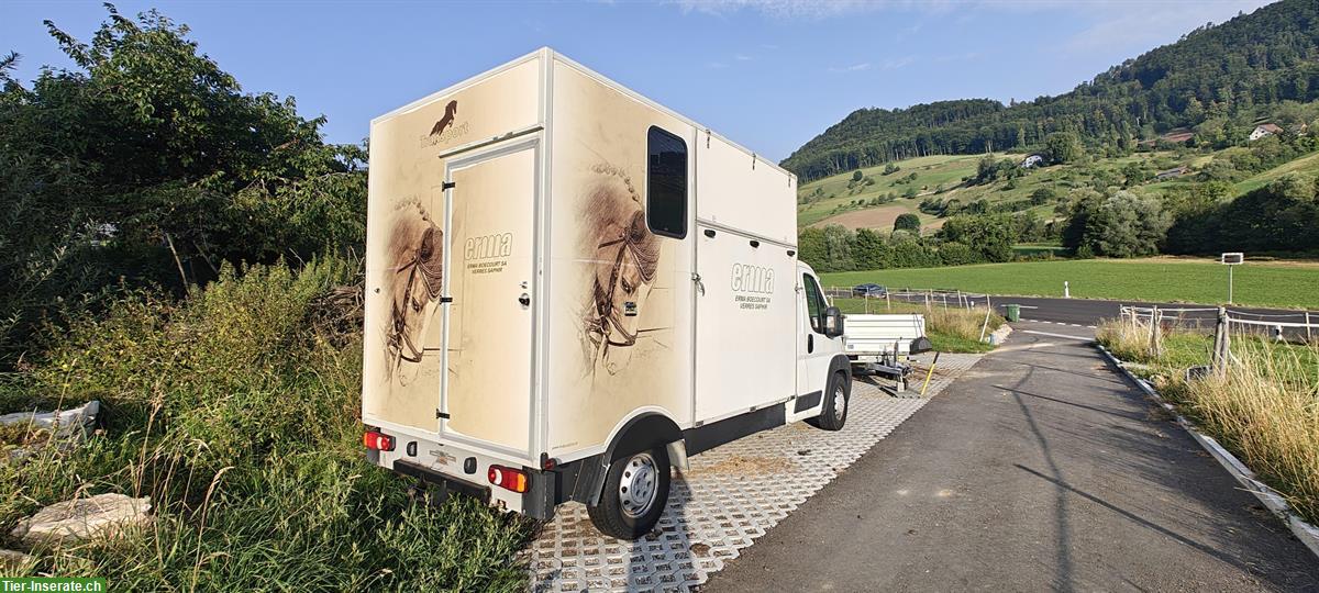 Bild 2: Occasion Citroën Jumper Selbstfahrer zu verkaufen