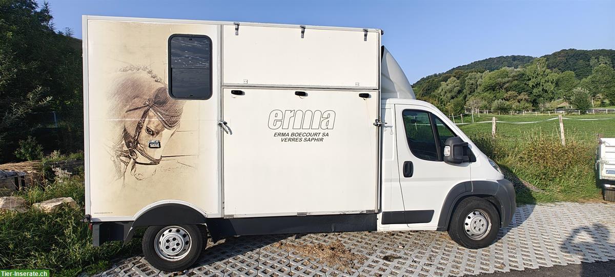 Bild 3: Occasion Citroën Jumper Selbstfahrer zu verkaufen