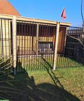 Hundezwinger mit Auslauf zu verkaufen