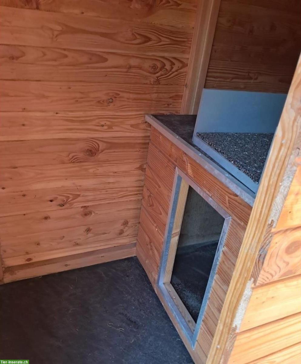 Bild 3: Hundezwinger mit Auslauf zu verkaufen