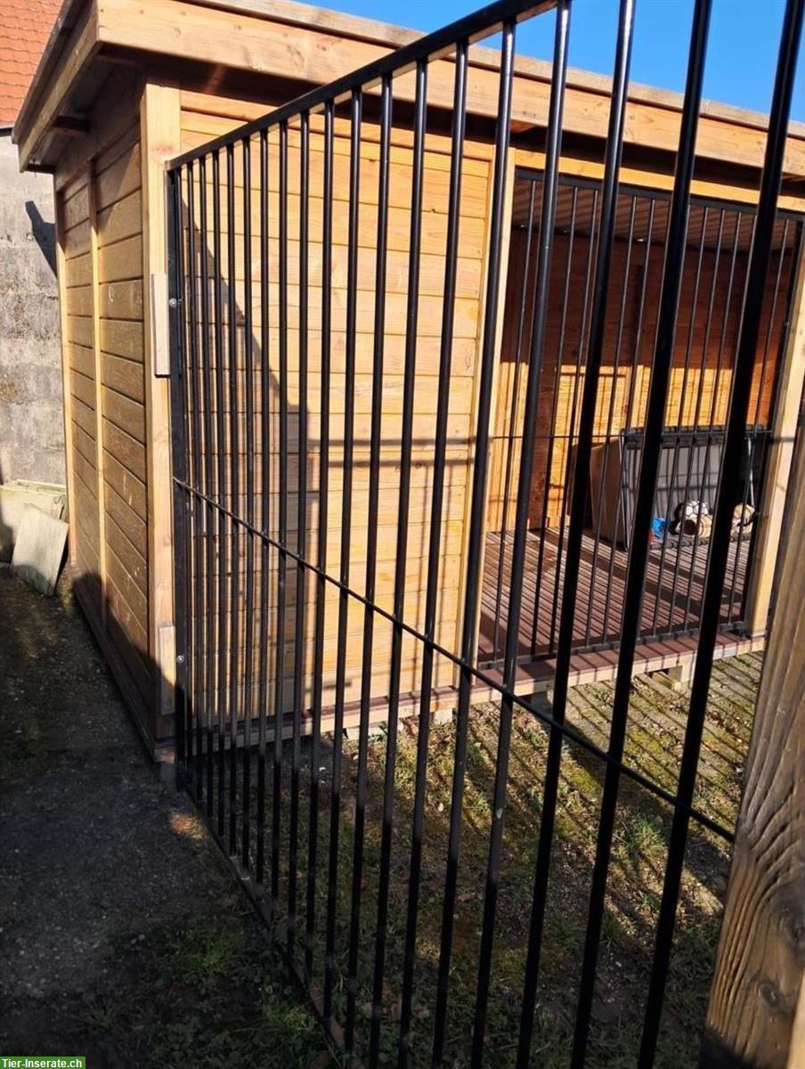 Bild 4: Hundezwinger mit Auslauf zu verkaufen