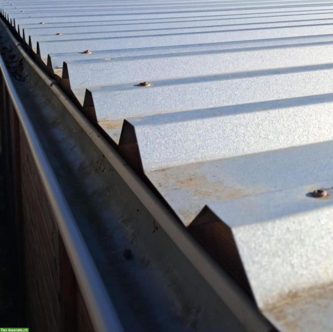 Bild 5: Hundezwinger mit Auslauf zu verkaufen