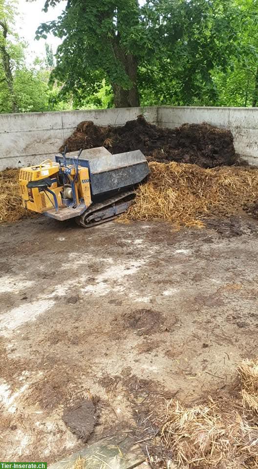 Bild 3: Pferdeboxen-Platz mit grossem Auslauf in Hubersdorf SO