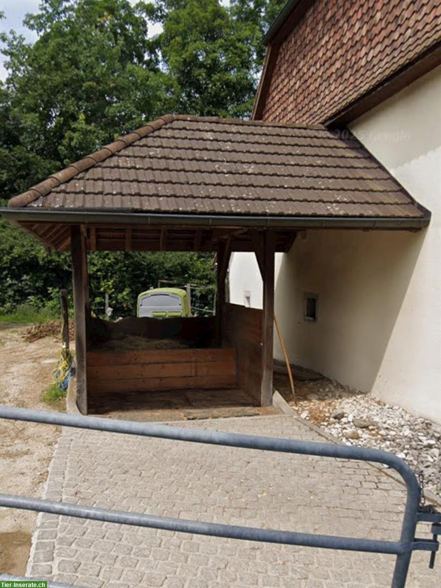 Bild 5: Pferdeboxen-Platz mit grossem Auslauf in Hubersdorf SO