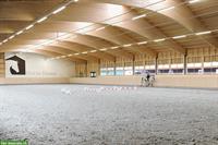 Freie Paddockboxen in Beromünster LU zu vermieten