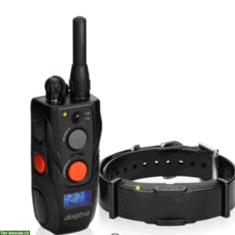 Dogtra Arc 800 zu verkaufen