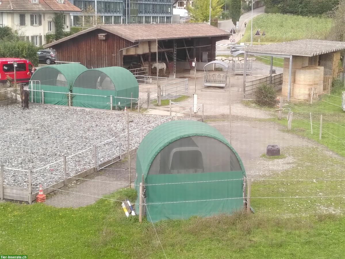 Bild 4: Wochenend-Stalldienst (2-4/Monat) im Hippotherapiezentrum in Bern