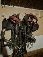 4-Spänner Geschir, wenig gebraucht