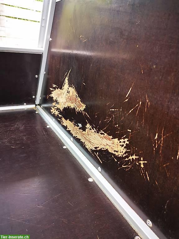 Bild 4: Doppelhundebox aus Alu mit Fluchttür zu verkaufen