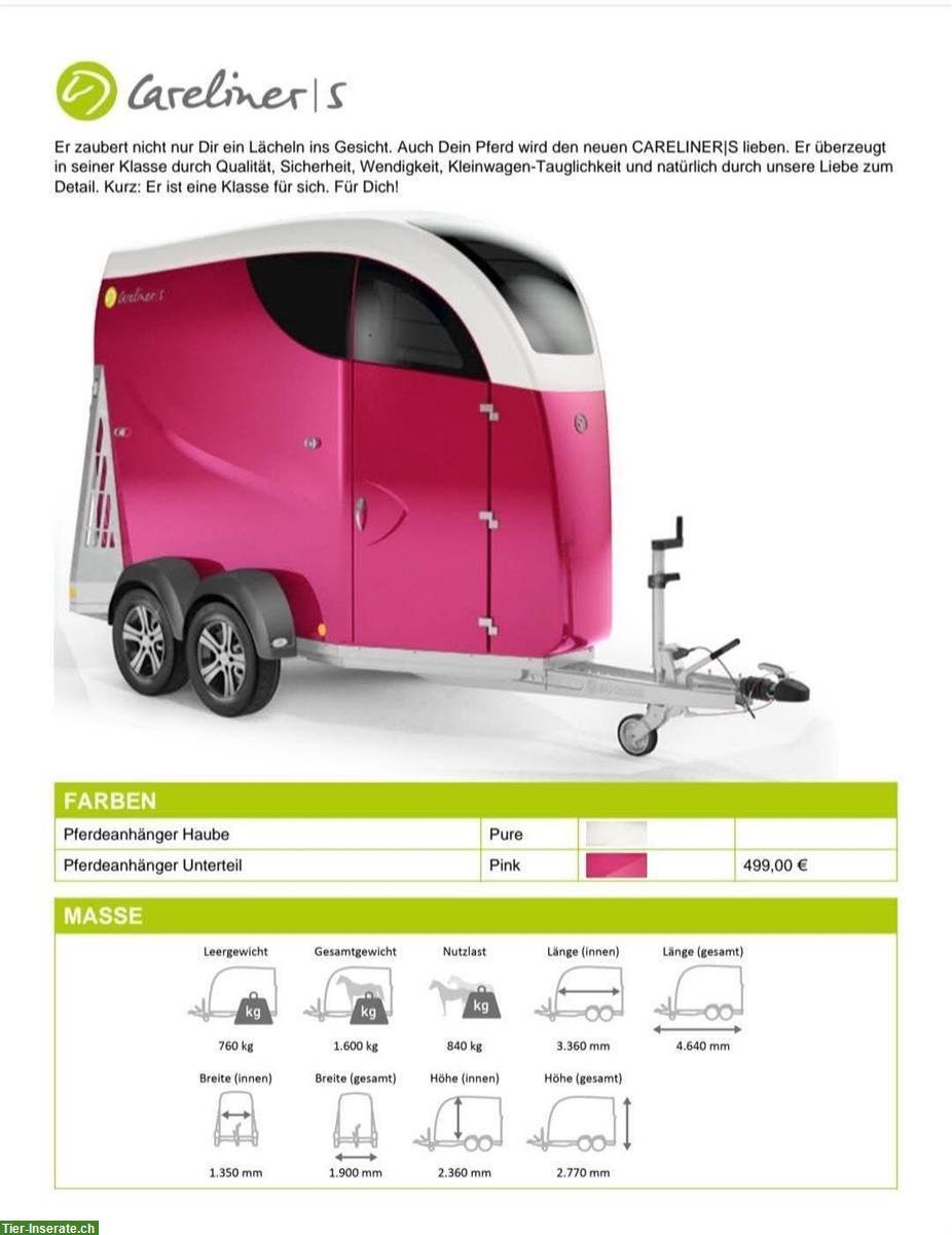 Bild 5: Pferdeanhänger Bücker Careliner S 1.5er, ab MFK