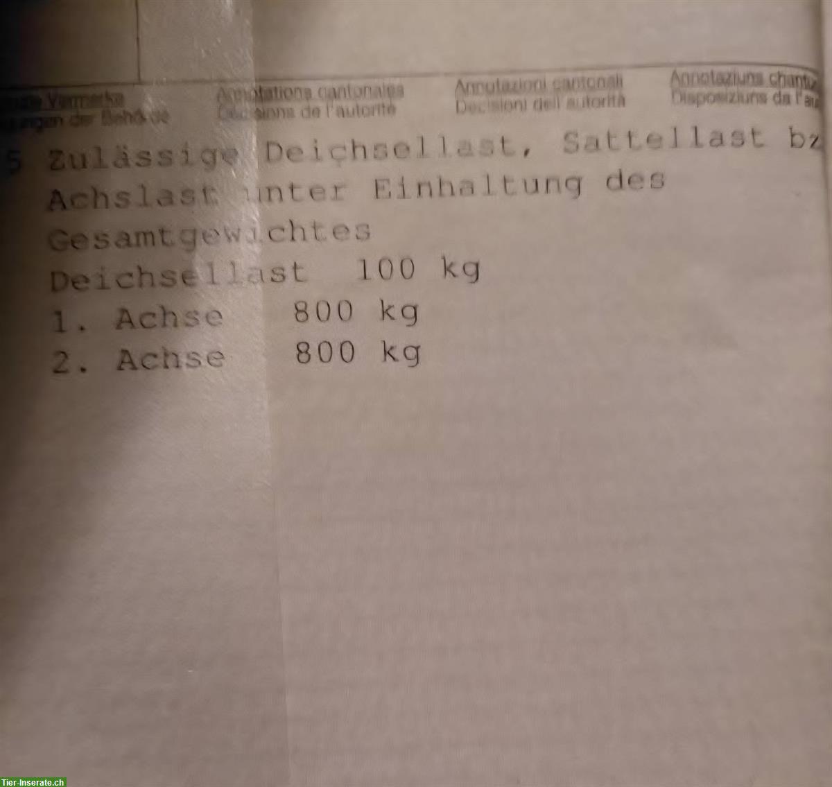 Bild 7: Pferdeanhänger Bücker Careliner S 1.5er, ab MFK