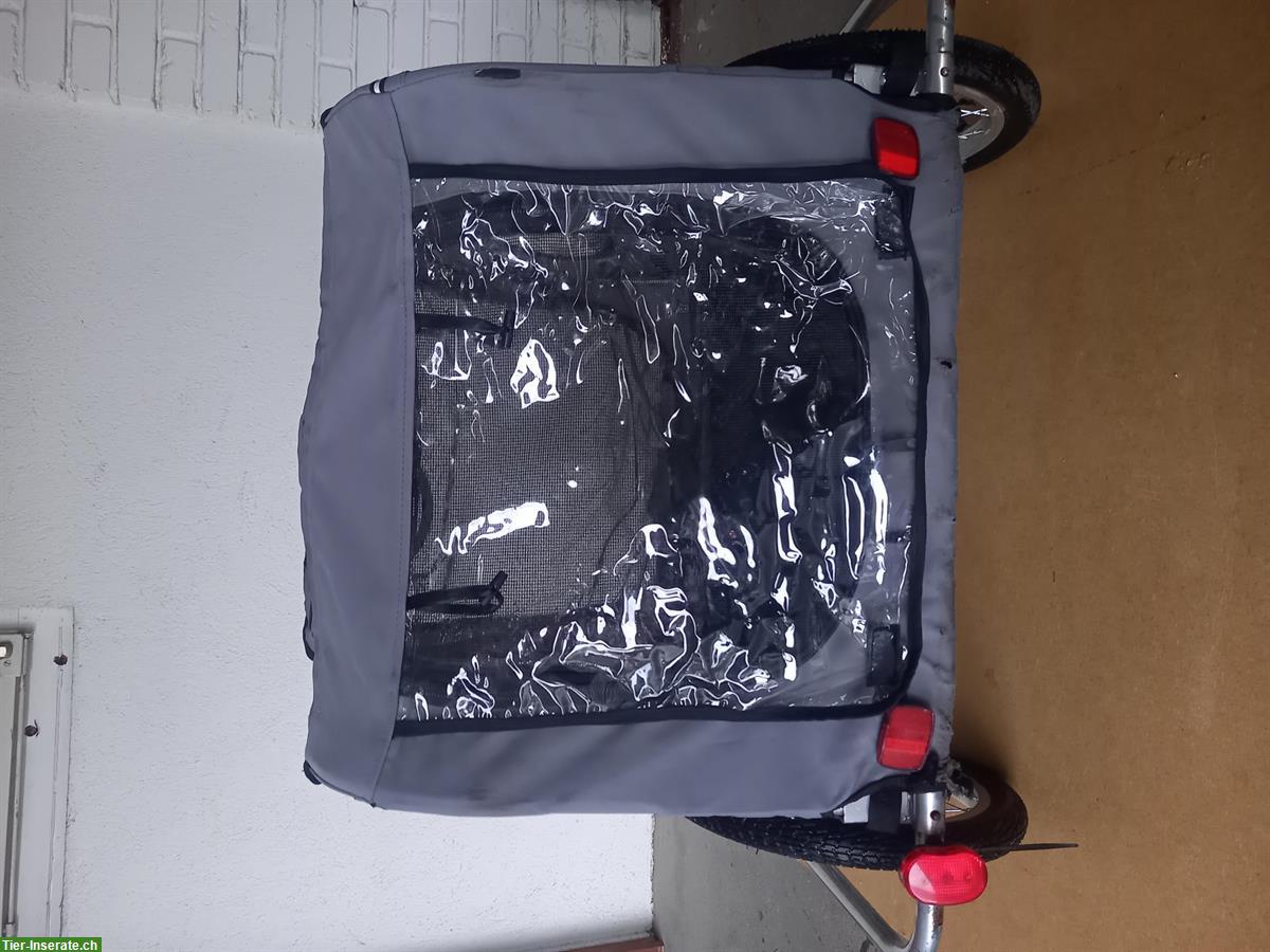 Bild 3: Hundeveloanhänger für mittlere bis mittelgrosse Rassen